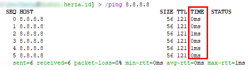 Ping ke Google DNS